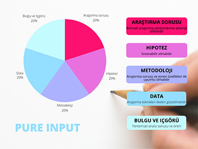 Pure Input - Biz Kimiz